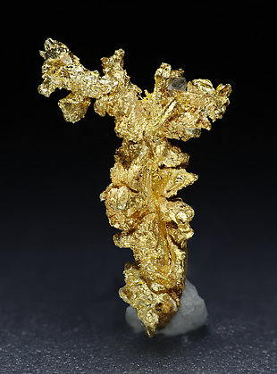 Oro. 