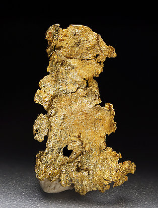 Oro. Vista posterior