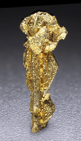 Oro. Vista posterior