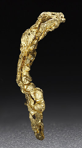 Oro. Vista posterior