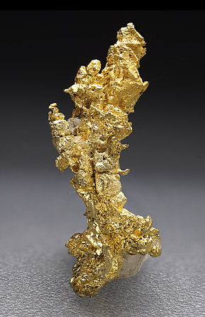 Oro. Vista posterior