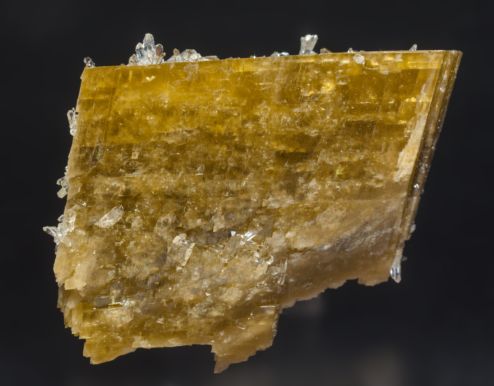 specimens/s_imagesAG7/Siderite-EY47AG7r.jpg