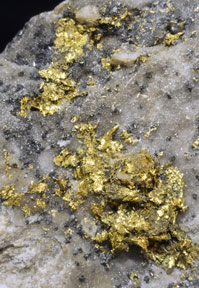Oro con Cuarzo (variedad calcedonia). 