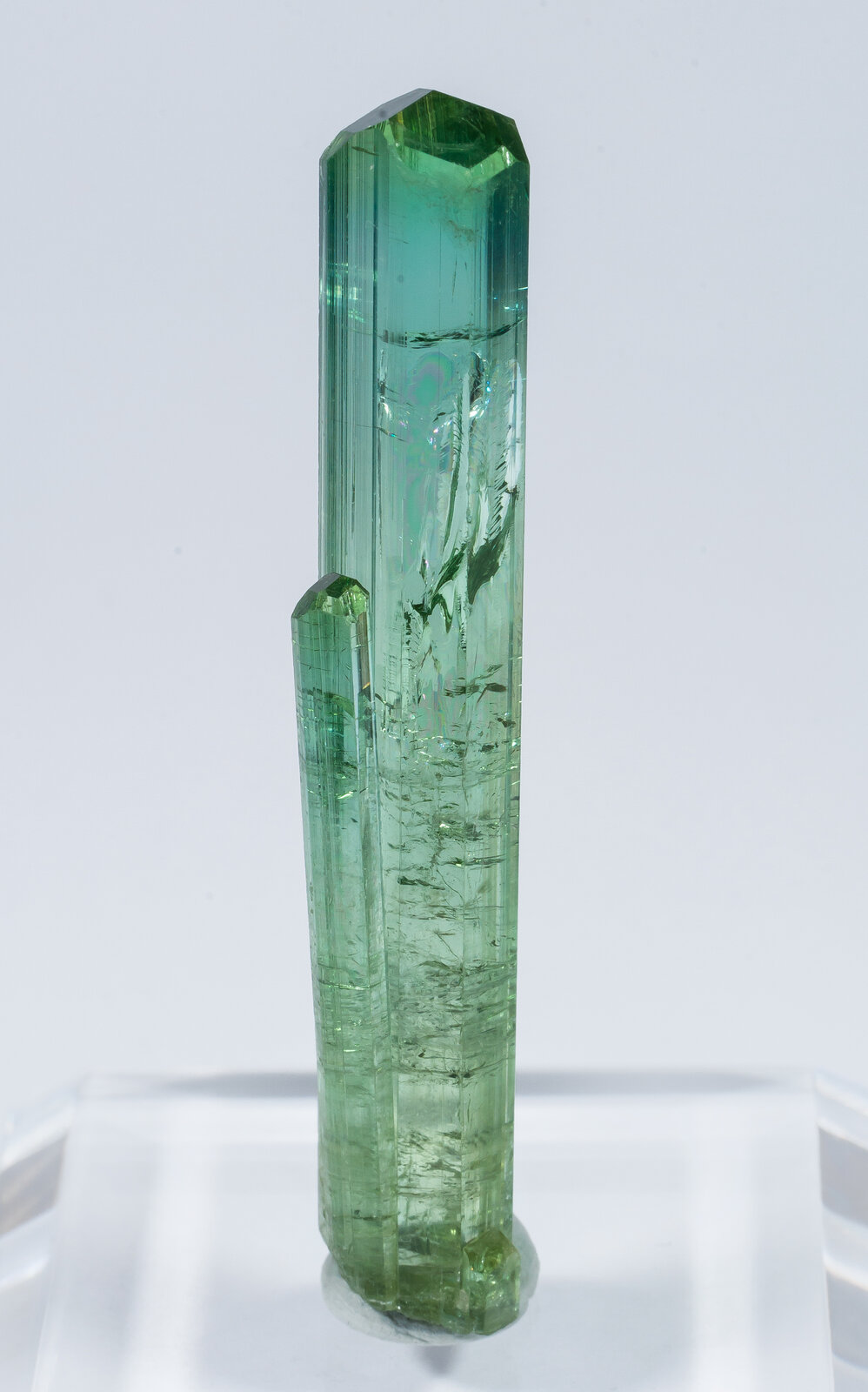 specimens/s_imagesAN2/Elbaite-TH86AN2r.jpg