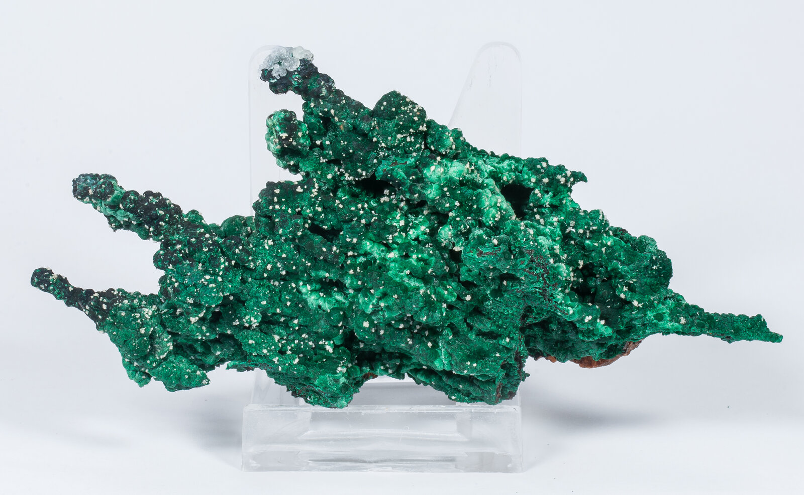 specimens/s_imagesAN2/Malachite-TM87AN2s.jpg