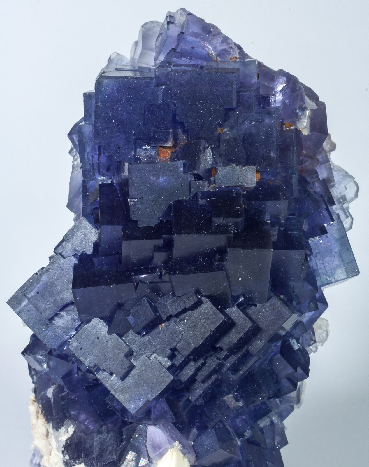 specimens/s_imagesAN8/Fluorite-NFT89AN8d.jpg
