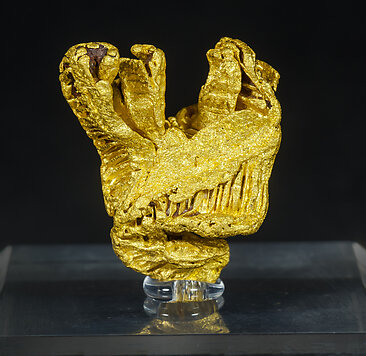 Oro. Vista frontal
