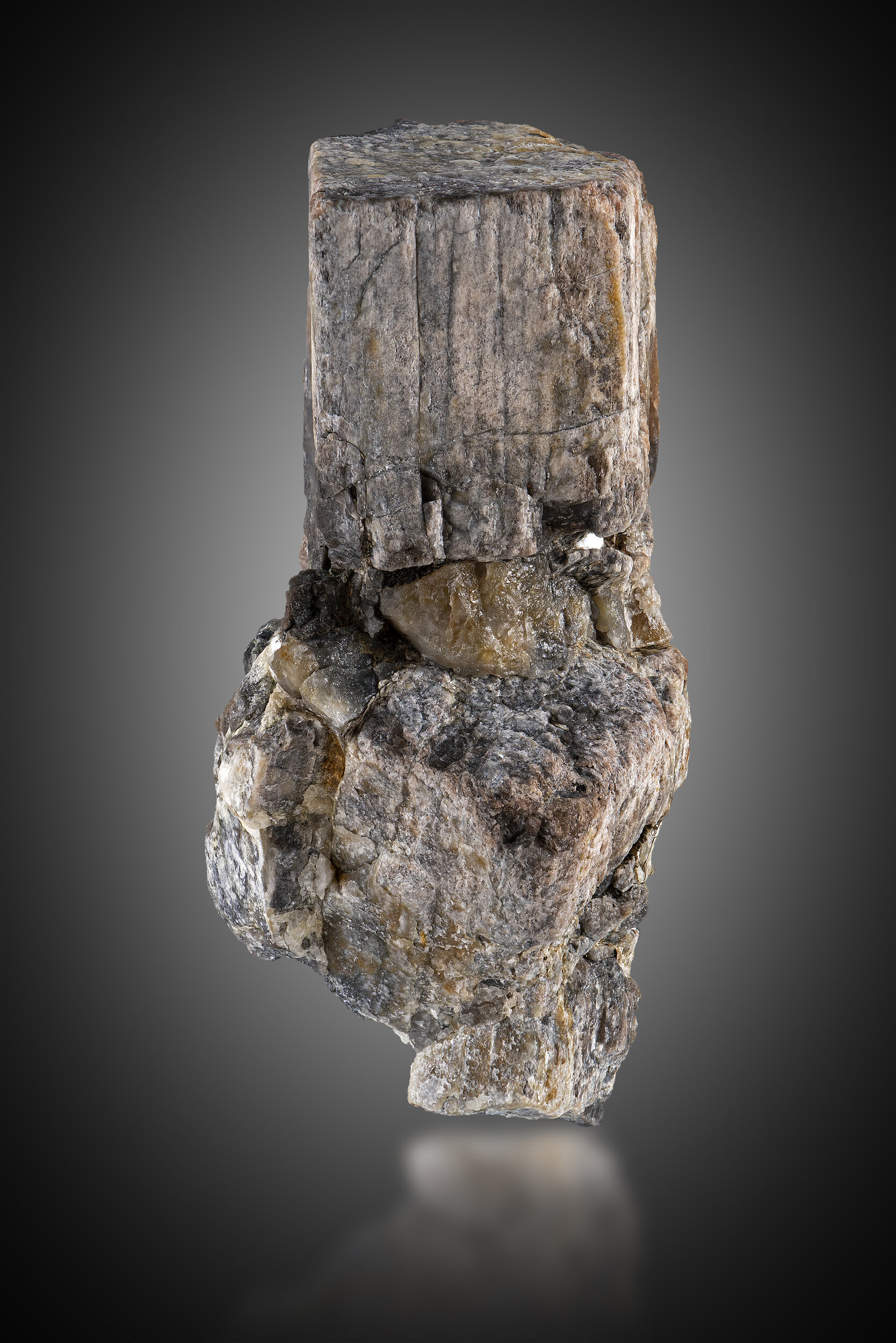 specimens/s_imagesMVM/Andalusite-NGR42XXXf.jpg